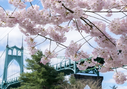 Discovering the Diverse Film Scene in Portland, OR